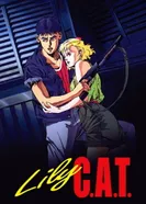 Постер Кошка по имени Лили