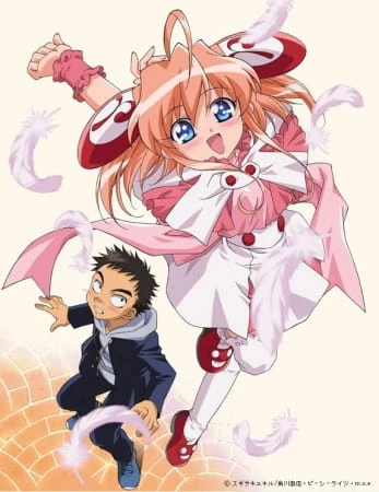 Моя Ризельмина постер